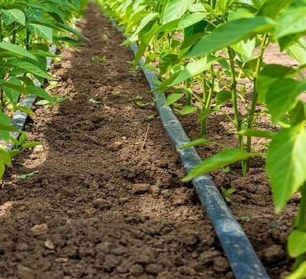 Маркучи поливни и капково напояване