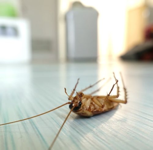 Борба с вредители