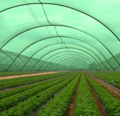 Засенчващи мрежи и мрежи против градушка