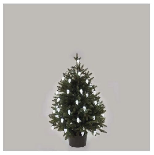 Коледни Led Лампички Шишарки D5zc01 Бели 50бр 9,8м