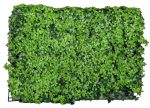 Изкуствена трева за стена