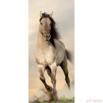 Фототапет Флис 90х202/1ч Вертикален, галоп 15107-2928 1 ФОТОТАПЕТ ФЛИС 90Х202/1Ч ГАЛОП 15107-2928