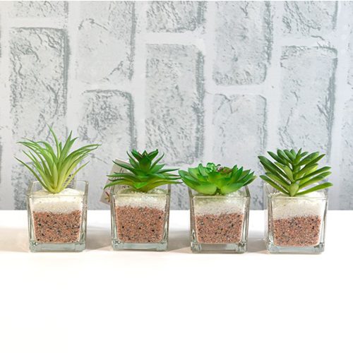 Икебана пустинно цвете в саксия квадрат  10/5СМ. И02-13606