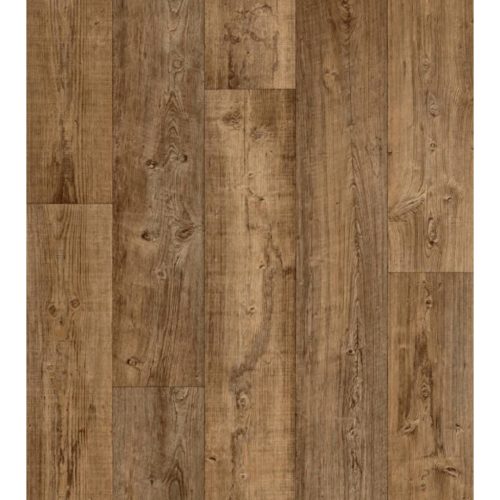 Балатум Bingo Argentina 593 ширина 4м