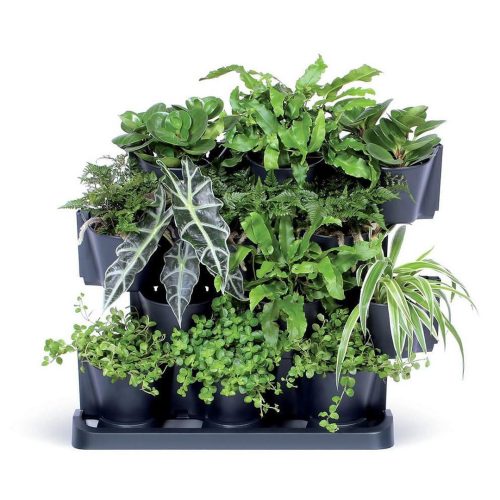 Мини вертикална градина антрацит 1016997 Брико