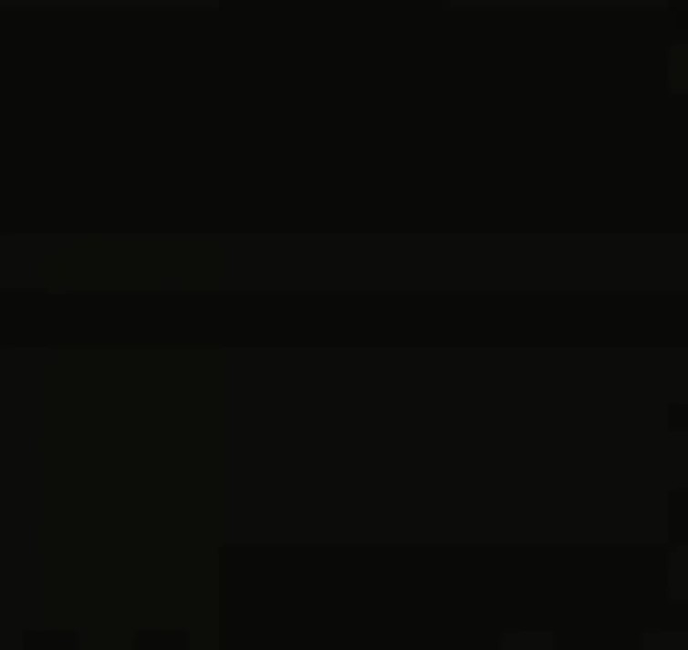 0000033007.jpg
