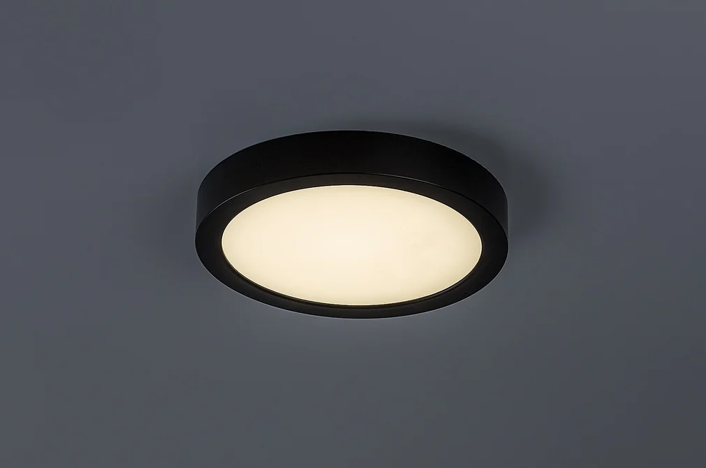 Външна LED таванна лампа Shaun Plus – 24 W, 4000 K, 2600 lm, IP44, Ø22 см, черна - Image 2