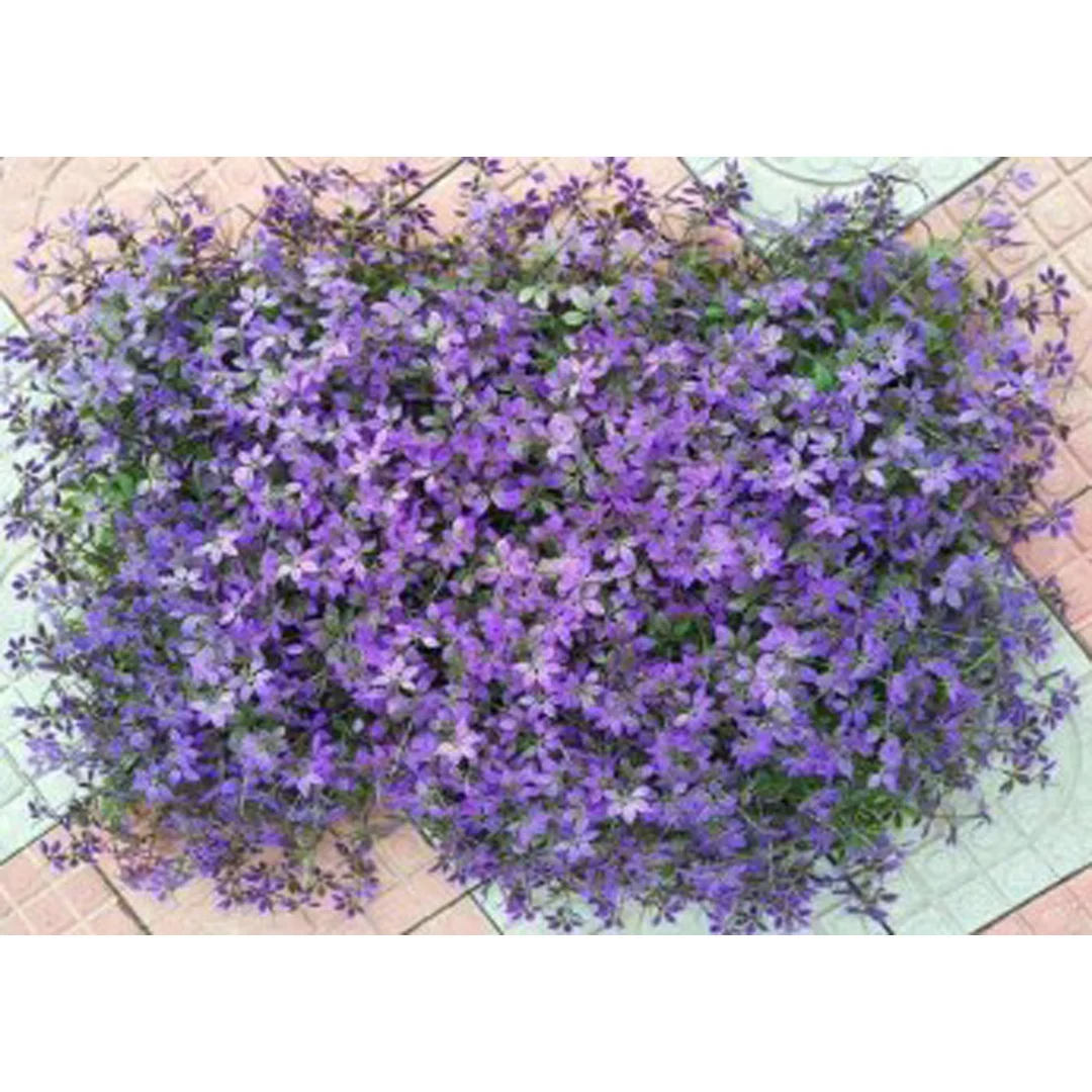 Изкуствена трева за стена 40x60см DIY-AP-140